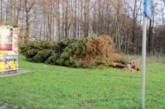 Kerstboom thv_brug_Ravels