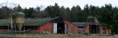 Brand Poppel_280114