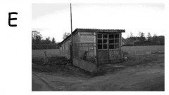 foto-e