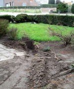 thumb IMG 0826-800