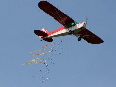 IMG 8796