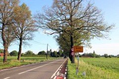 IMG 5747
