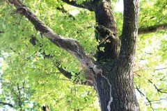 IMG 5749