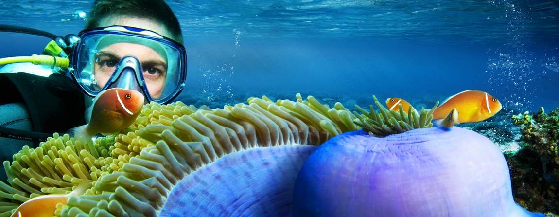 Diving GreatBarrierReef