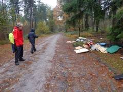 Elfenwandeling 2013