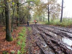 Elfenwandeling 2013_f