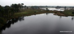 Elfenwandeling 2014_b