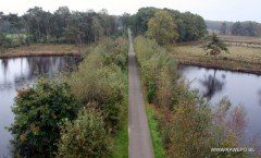 elfenwandeling 2014_a