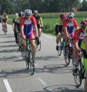 Staf v_Gils_Hdr_-_de_staart_van_de_groep