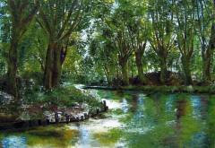 Ria De_Pooter.Le_Canal_du_Midi