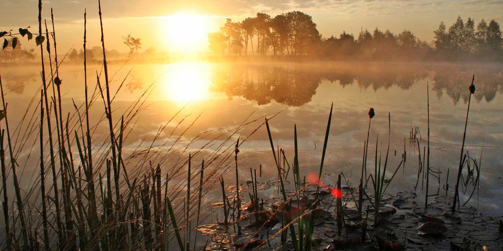 Weelde in Ravels © PdR