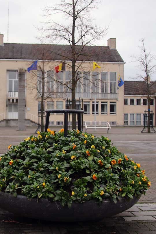 RAWEPO brengt het lokale nieuws, elke dag weer